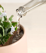 Load image into Gallery viewer, Gentle Pink stand:all