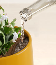 Load image into Gallery viewer, Mustard stand:all