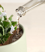 Load image into Gallery viewer, Turquoise stand:all