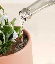 Load image into Gallery viewer, Calm Rose stand:all