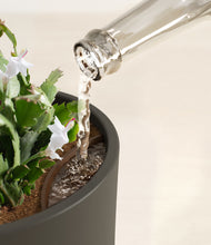 Load image into Gallery viewer, Dark Olive stand:all