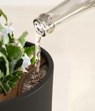 Load image into Gallery viewer, Black stand:all