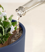 Load image into Gallery viewer, Deep Navy stand:all