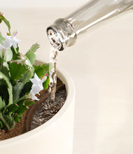 Load image into Gallery viewer, Cream stand:all