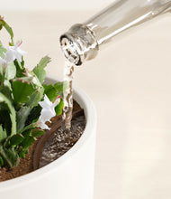 Load image into Gallery viewer, White stand:all