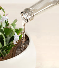 Load image into Gallery viewer, Shiny EggWhite stand:all