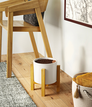 Load image into Gallery viewer, Light