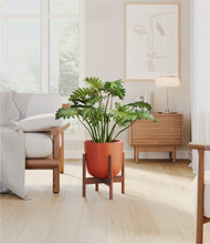 Load image into Gallery viewer, Earth Red stand:walnut