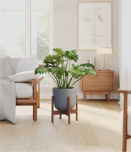 Load image into Gallery viewer, Iron Gray stand:walnut