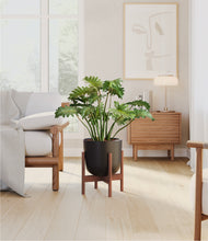 Load image into Gallery viewer, Stone Black stand:walnut