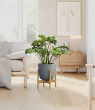 Load image into Gallery viewer, Iron Gray stand:bamboo