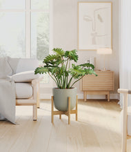 Load image into Gallery viewer, Sage Green stand:bamboo