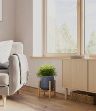 Load image into Gallery viewer, Deep Navy stand:bamboo