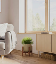 Load image into Gallery viewer, Olive stand:walnut