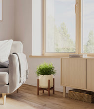 Load image into Gallery viewer, Almond Green stand:walnut