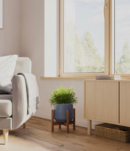 Load image into Gallery viewer, Deep Navy stand:walnut