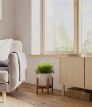 Load image into Gallery viewer, Eternal Gray stand:walnut