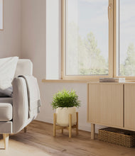Load image into Gallery viewer, Almond Green stand:bamboo