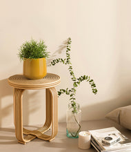 Load image into Gallery viewer, Mustard