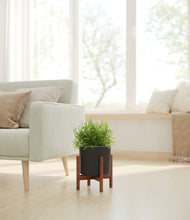 Load image into Gallery viewer, Black stand:walnut