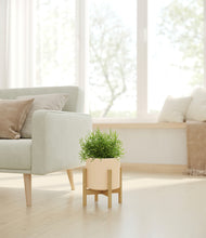 Load image into Gallery viewer, Cream stand:bamboo