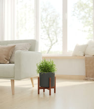 Load image into Gallery viewer, Dark Olive stand:walnut