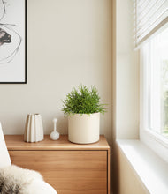 Load image into Gallery viewer, Cream