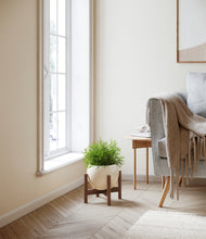 Load image into Gallery viewer, Shiny EggWhite stand:walnut