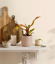Load image into Gallery viewer, Sandy Pink
