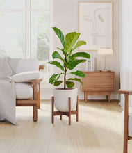 Load image into Gallery viewer, Natural Bamboo stand:walnut