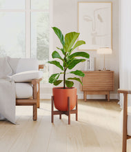 Load image into Gallery viewer, Earth Red stand:walnut