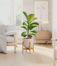 Load image into Gallery viewer, Sandy Pink stand:bamboo