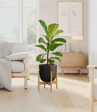 Load image into Gallery viewer, Stone Black stand:bamboo