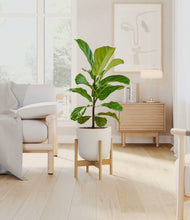 Load image into Gallery viewer, Natural Bamboo stand:bamboo