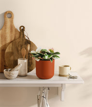 Load image into Gallery viewer, Earth Red