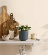 Load image into Gallery viewer, Iron Gray