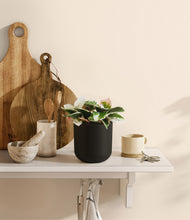 Load image into Gallery viewer, Stone Black