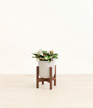 Load image into Gallery viewer, Natural Bamboo stand:walnut