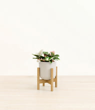 Load image into Gallery viewer, Natural Bamboo stand:bamboo