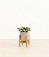 Load image into Gallery viewer, Sandy Pink stand:bamboo