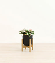 Load image into Gallery viewer, Stone Black stand:bamboo