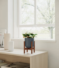 Load image into Gallery viewer, Iron Gray stand:walnut