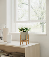 Load image into Gallery viewer, Sage Green stand:bamboo