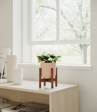 Load image into Gallery viewer, Sandy Pink stand:walnut