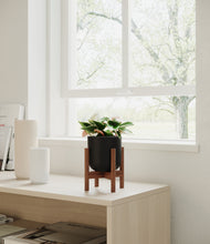 Load image into Gallery viewer, Stone Black stand:walnut