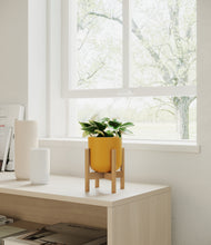 Load image into Gallery viewer, Sunset Orange stand:bamboo