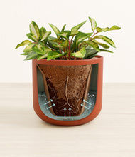 Load image into Gallery viewer, Earth Red