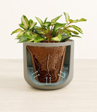 Load image into Gallery viewer, Sage Green