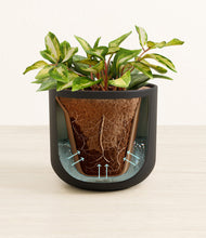 Load image into Gallery viewer, Stone Black