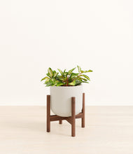 Load image into Gallery viewer, Natural Bamboo stand:walnut